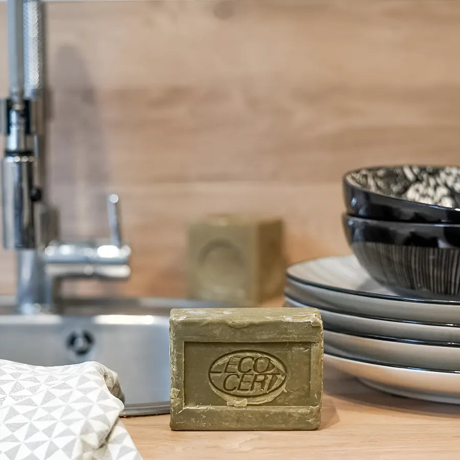 La Corvette【手肌と環境にやさしい食器用石鹸】ディッシュウォッシングソープ アロエベラ 200g