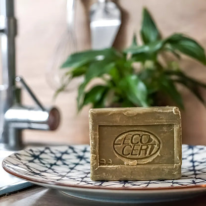 La Corvette【手肌と環境にやさしい食器用石鹸】ディッシュウォッシングソープ アロエベラ 200g